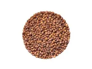 Семена редиса (красный коралл) фото 3