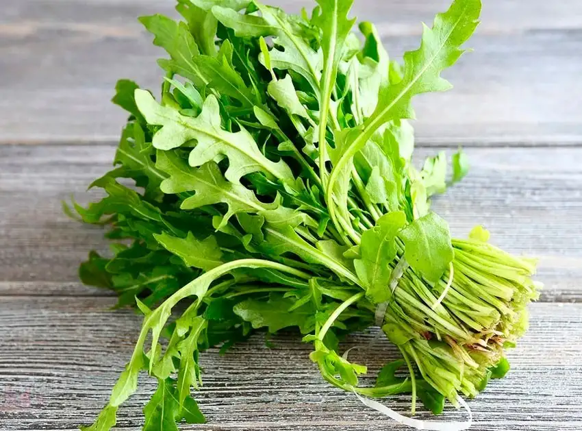 Семена руккола (WILD IMPROVED) фото 3