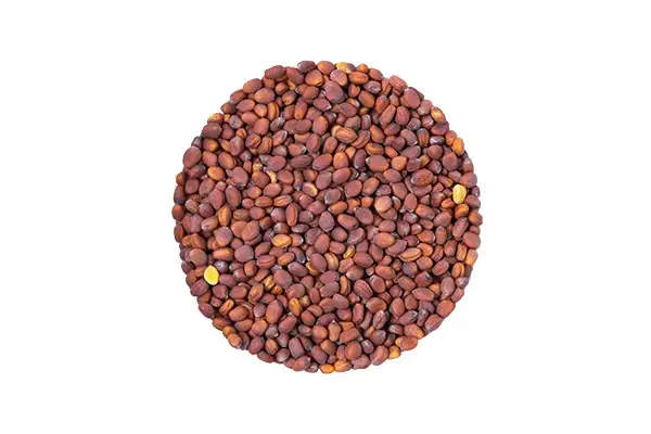 Семена дайкона (белый) фото 2