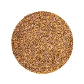 Семена рукколы (WILD)