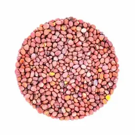 Семена для микрозелени и проростков дайкона (редиса)