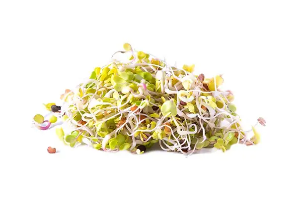 Семена для микрозелени и проростков дайкона (редиса) фото 4