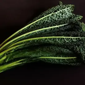 Семена листовой капусты Кейл (черный тосканский)