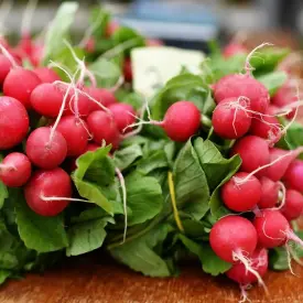 Редис