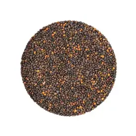 Семена рукколы