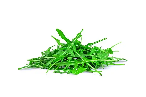 Семена рукколы фото 4