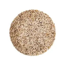 Семена Салата Фризе (Эндивий Кудрявый)