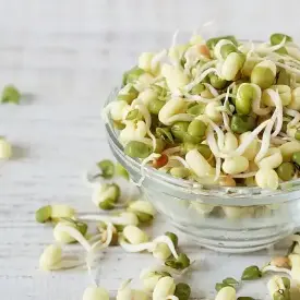 Семена для проращивания (Маш)