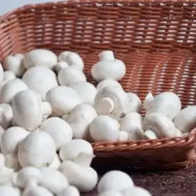 Шампиньоны (маленькие)