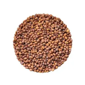 Семена редиса (Альпийский завтрак)