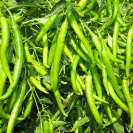 Чили перец (зеленый)