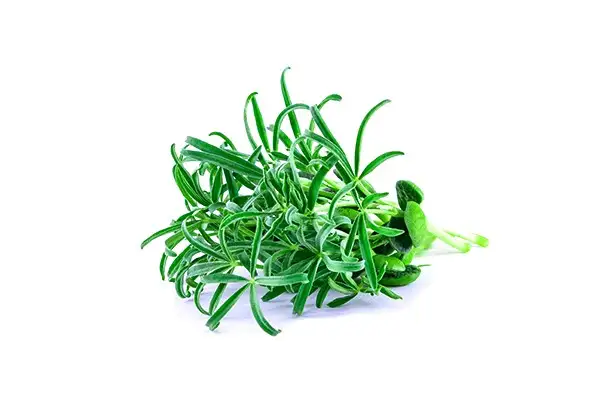 Семена микрозелени люпина (Bamboo) фото 2