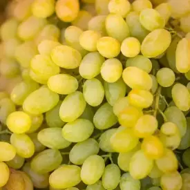 Виноград зеленый
