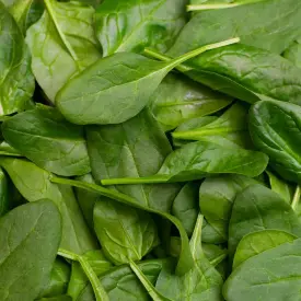 Шпинат
