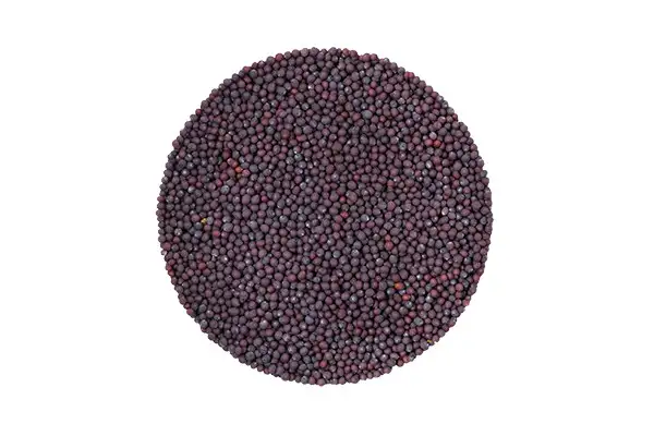 Семена горчицы (листовая фиолетовая) фото 2