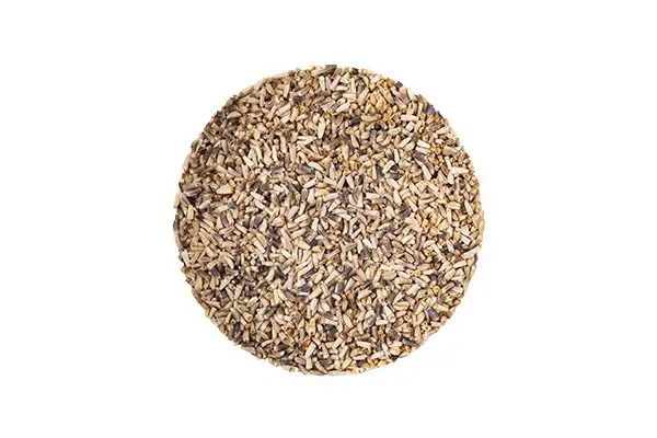 Семена салата Фризе (Эндивий) фото 3