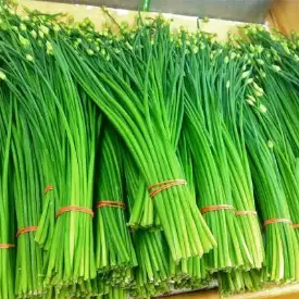 Семена лука (душистый джусай)