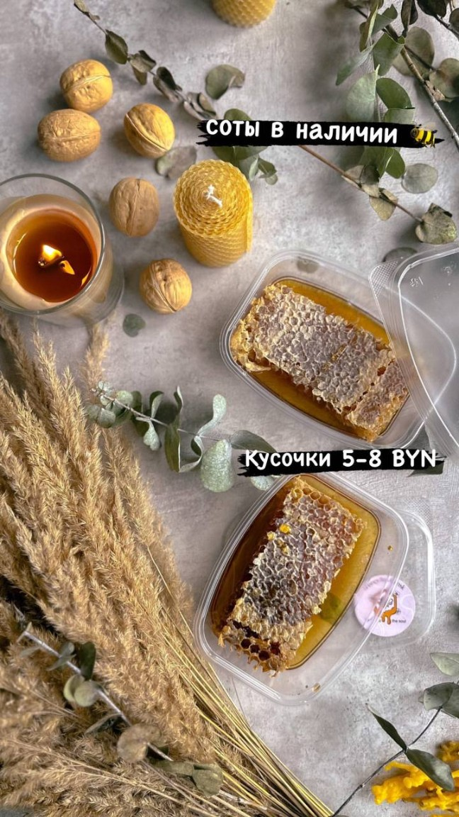 Мед в сотах