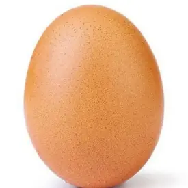 Яйцо С2
