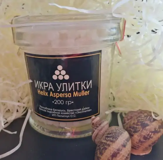 Икра улитки Helix Aspersa Muller фото 3