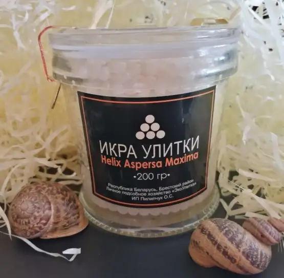 Икра улитки Helix Aspersa Maxima фото 4