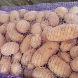 Картофель