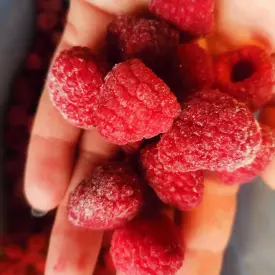 Малина садовая Экстра быстрозамороженная