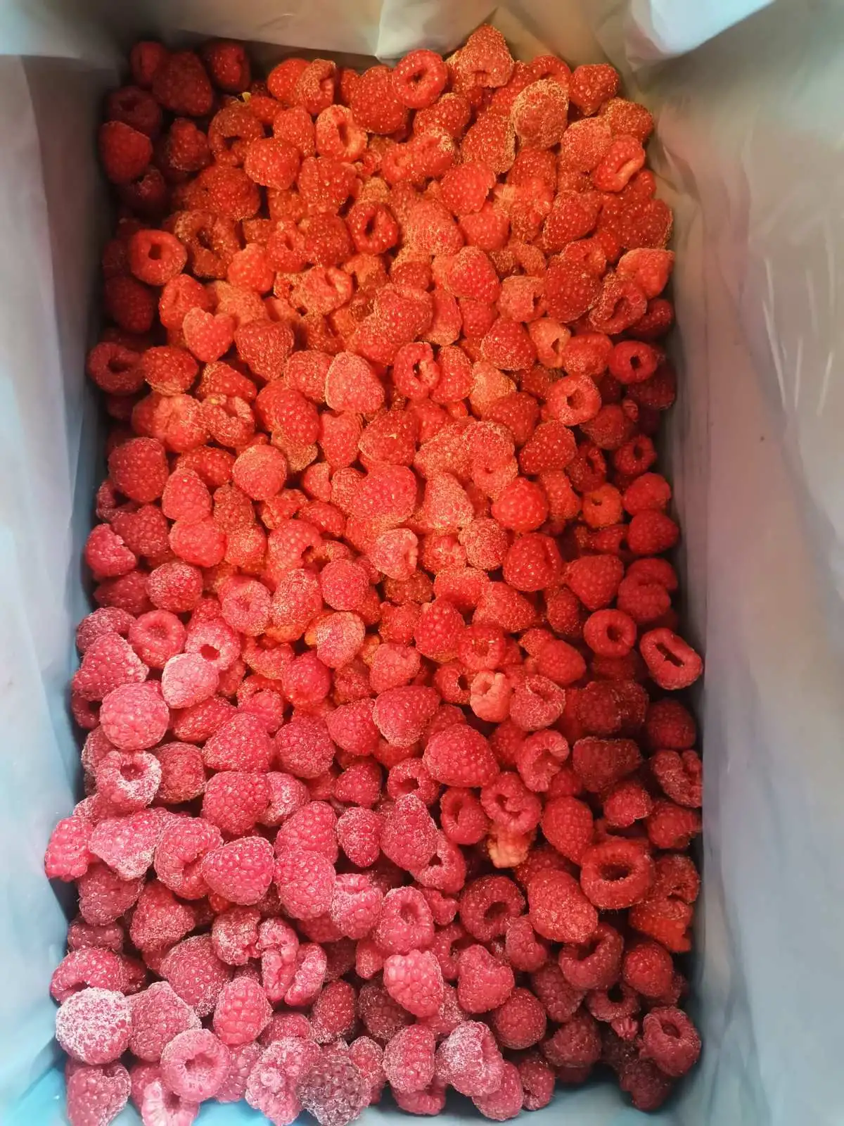 Малина садовая Экстра быстрозамороженная фото 3