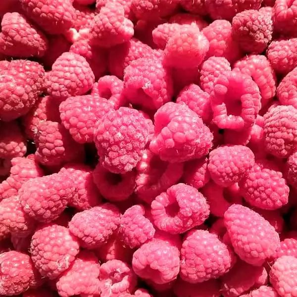 Малина садовая Экстра быстрозамороженная фото 2