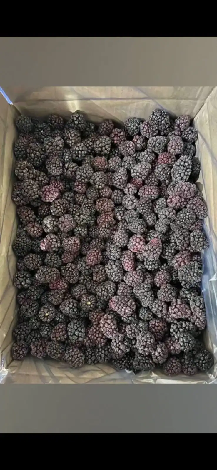 Ежевика быстрозамороженная фото 2