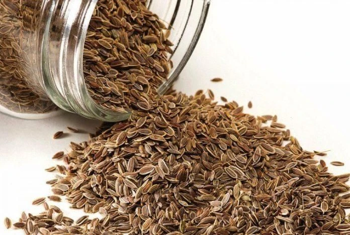 Укроп, семя, 25 кг