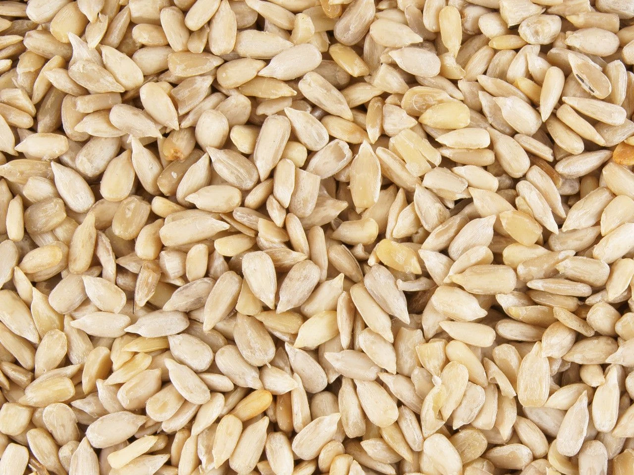 Кунжут, семена белые, 25 кг