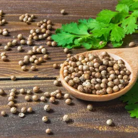 Кориандр зерно (целый), 25 кг