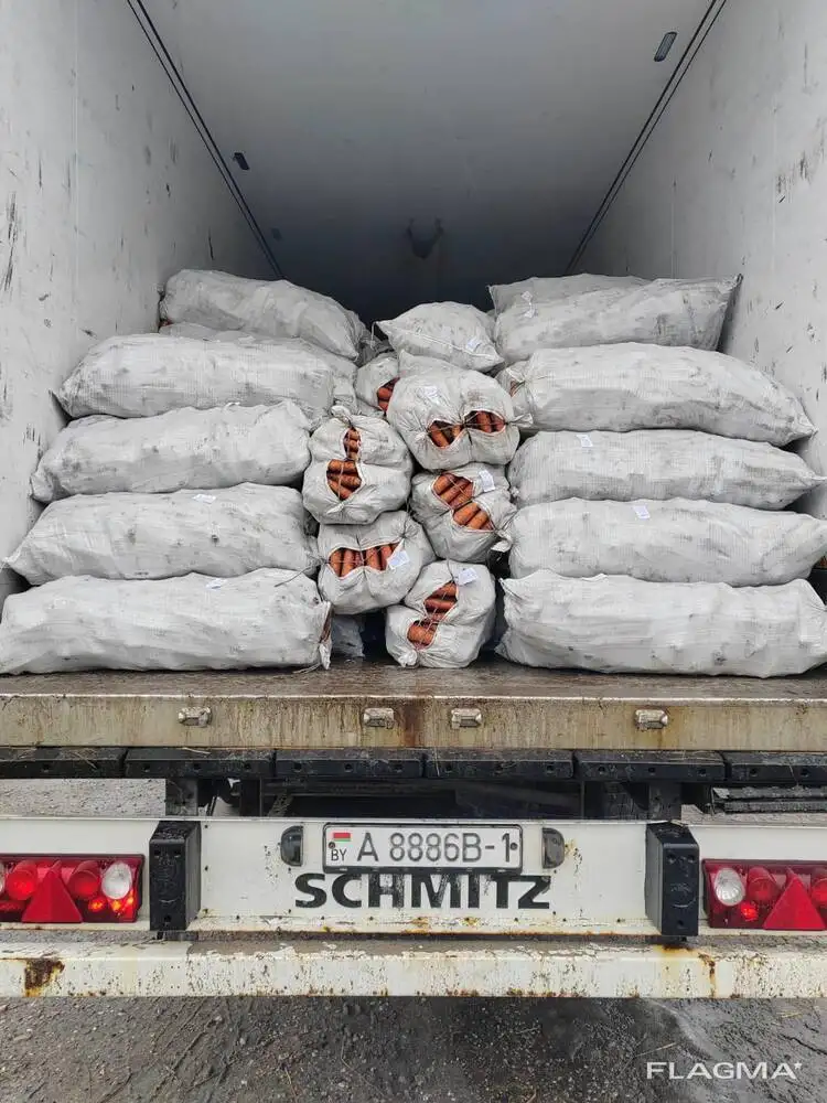 Морковь свежая. фото 4