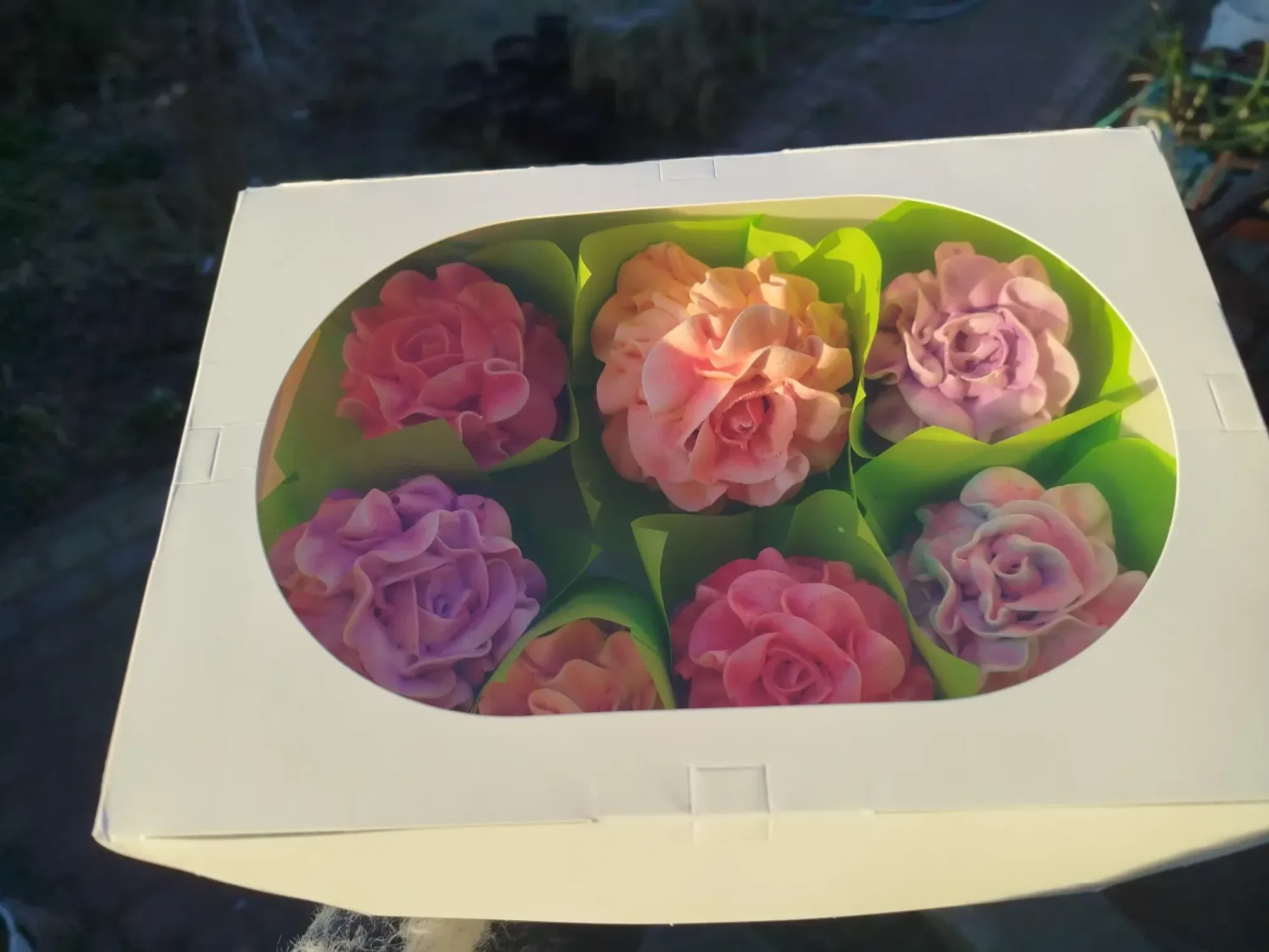 Зефир фото 2