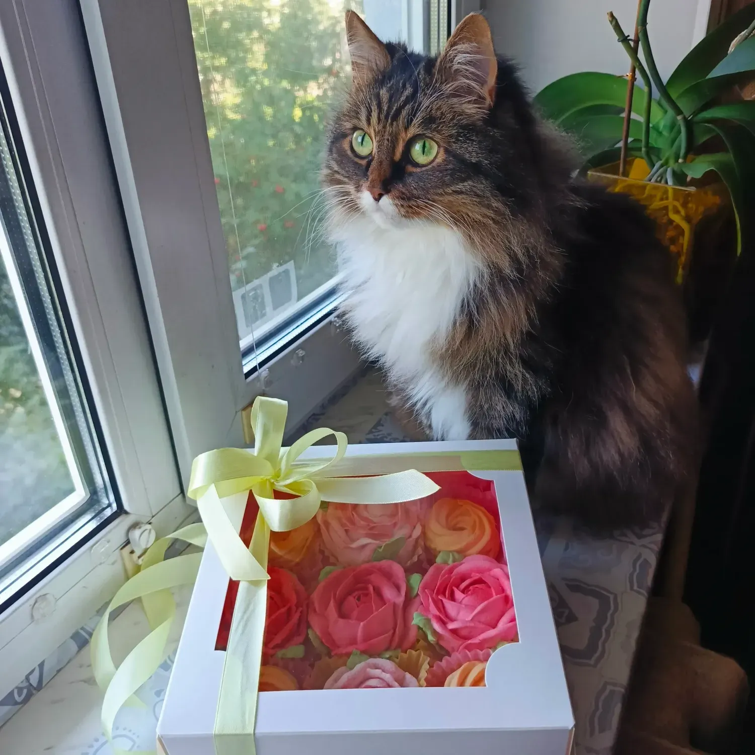 Цветы из зефира ручной работы фото 6