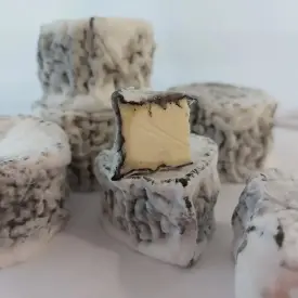 Валансе (коза)