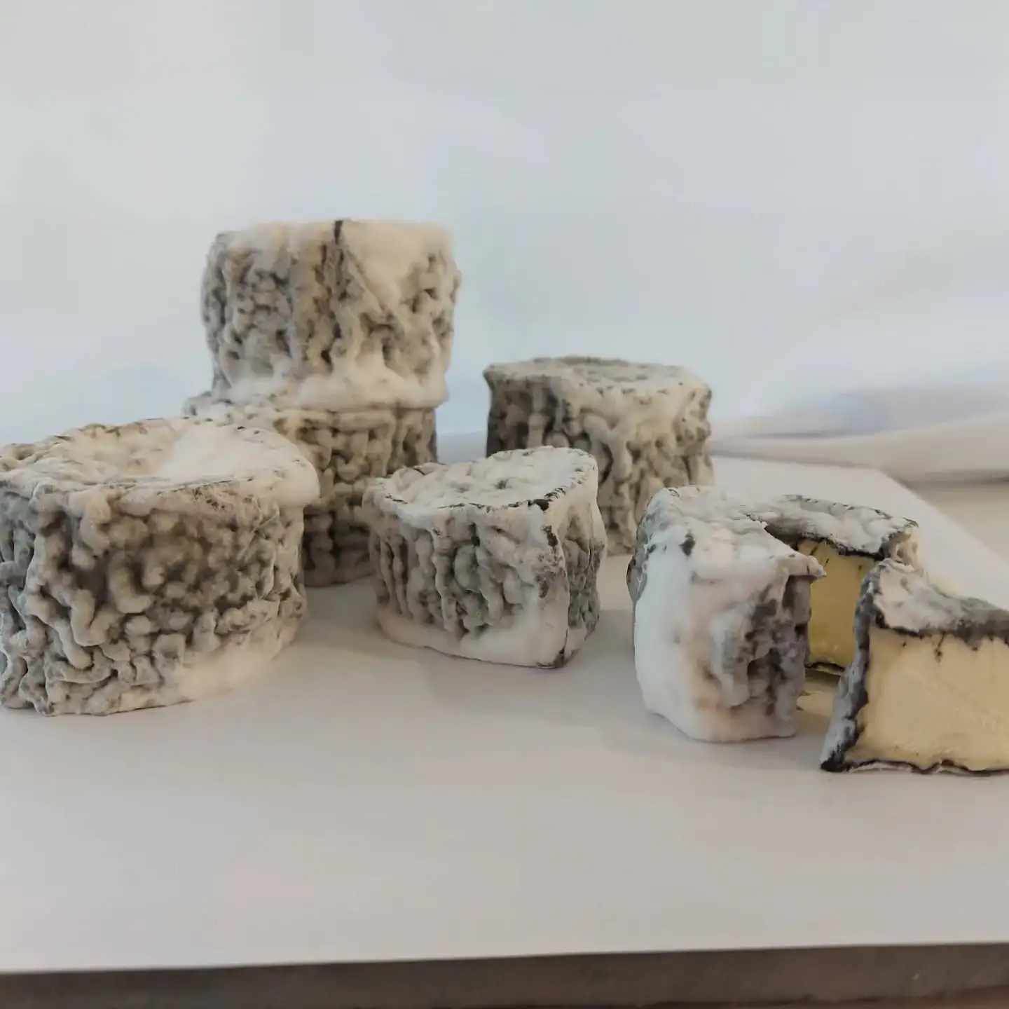 Валансе (коза) фото 2