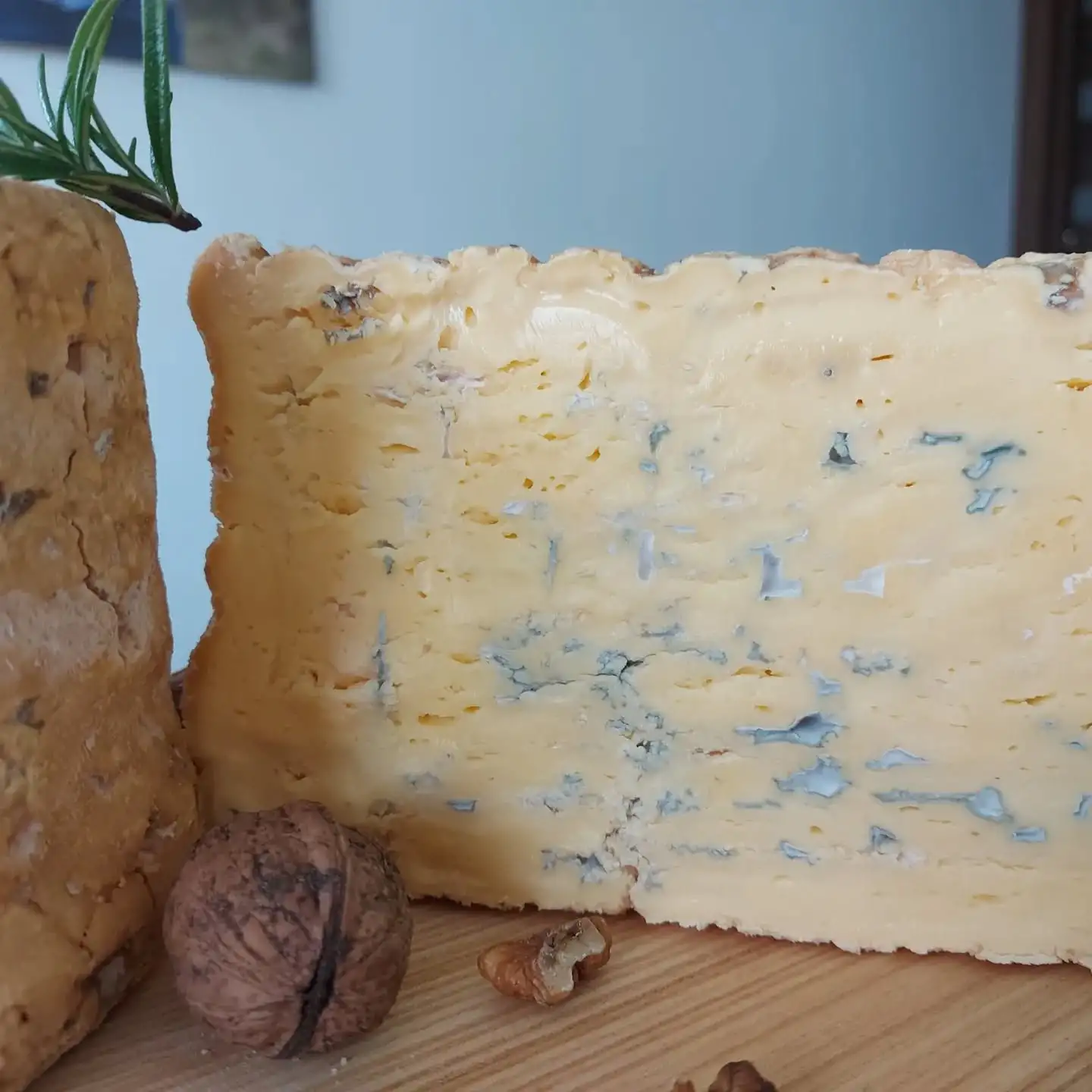 Шропшир (коровка) фото 2