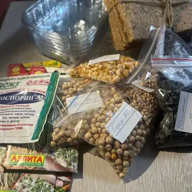 Микрозелень (набор для проращивания)