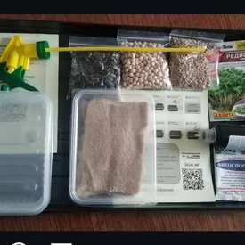 Набор для выращивания микрозелени