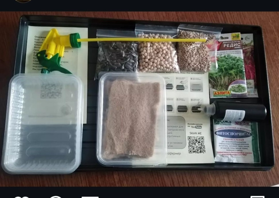 Набор для выращивания микрозелени