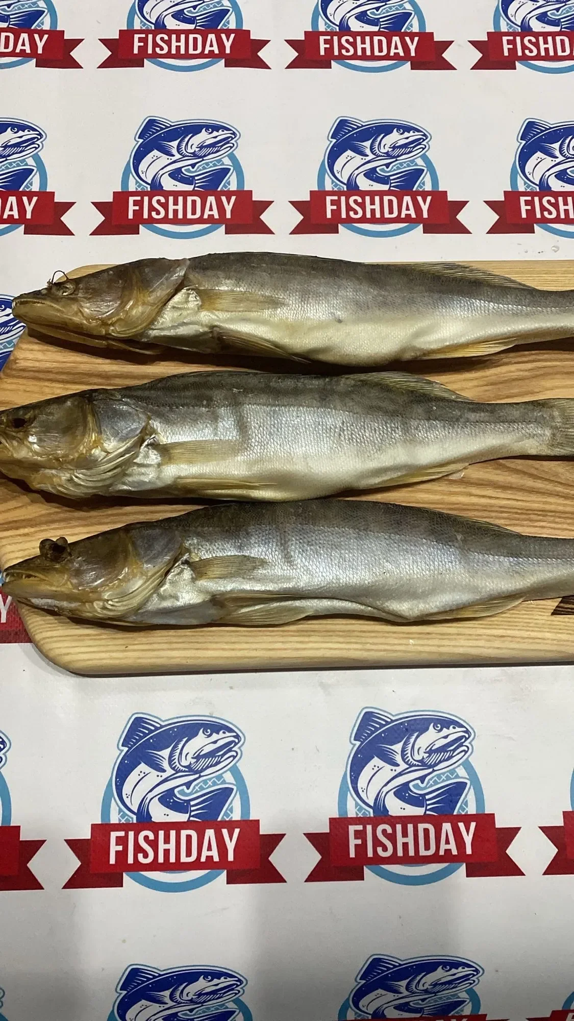 Судак вяленый неразделанный фото 1