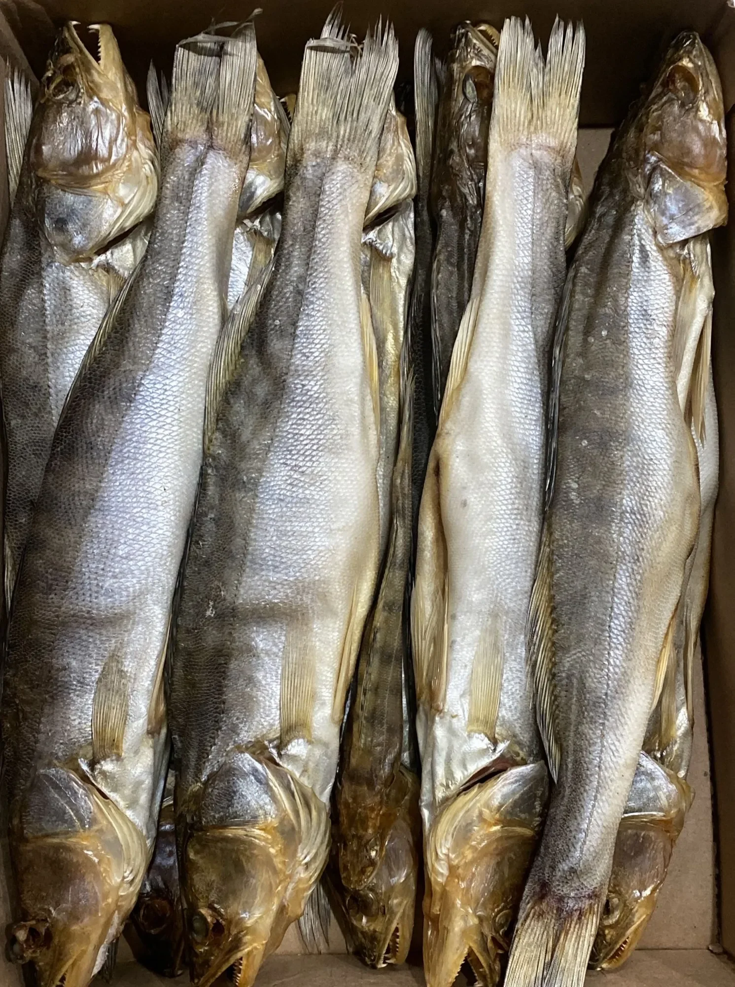 Судак вяленый неразделанный фото 2