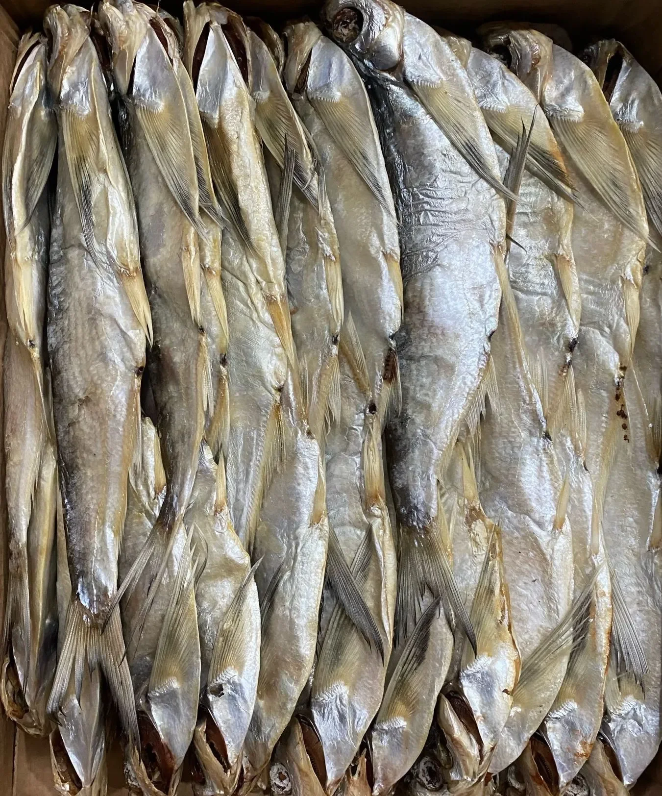 Чехонь вяленая неразделанная фото 2