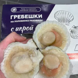 Гребешок на створке с икрой