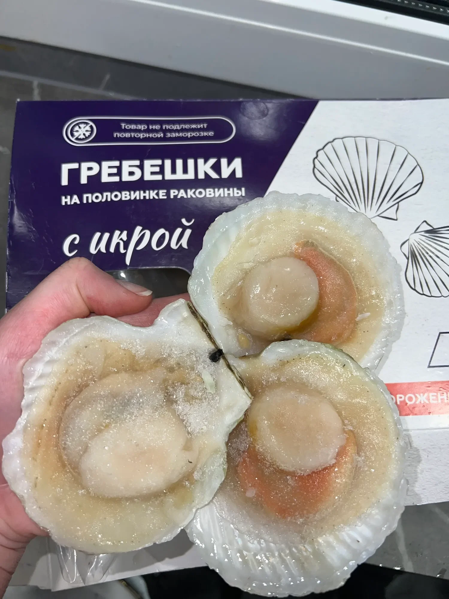 Гребешок на створке с икрой фото 3