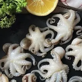 Мини-осьминоги