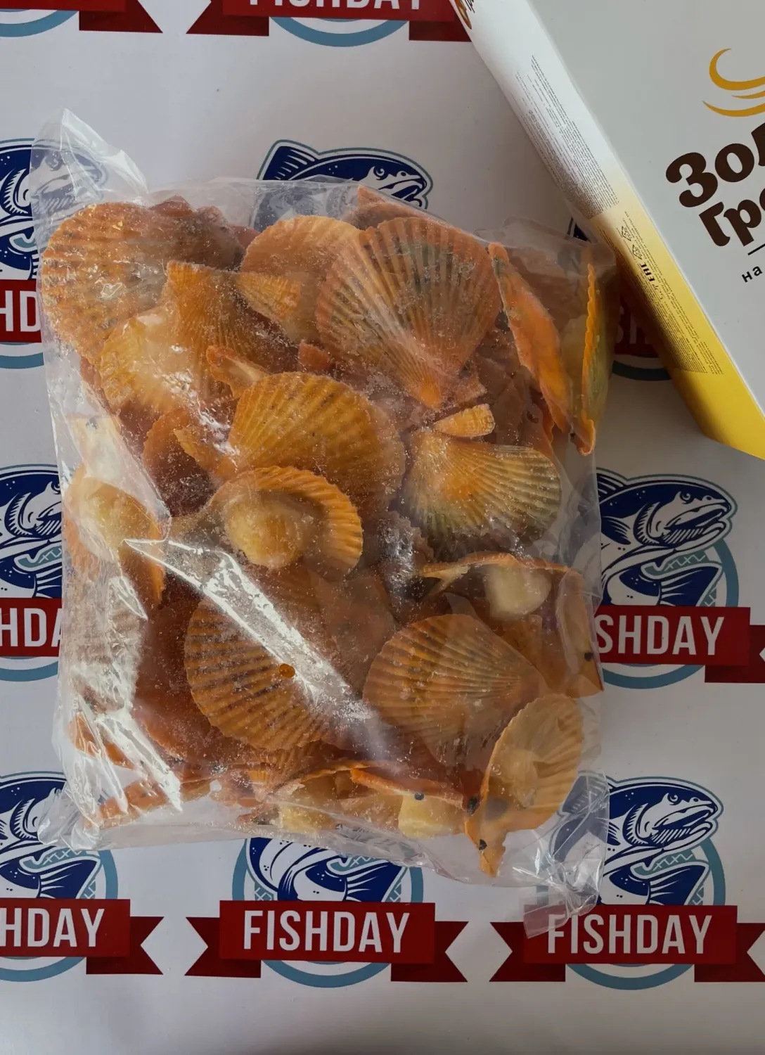 Гребешок золотой фото 3