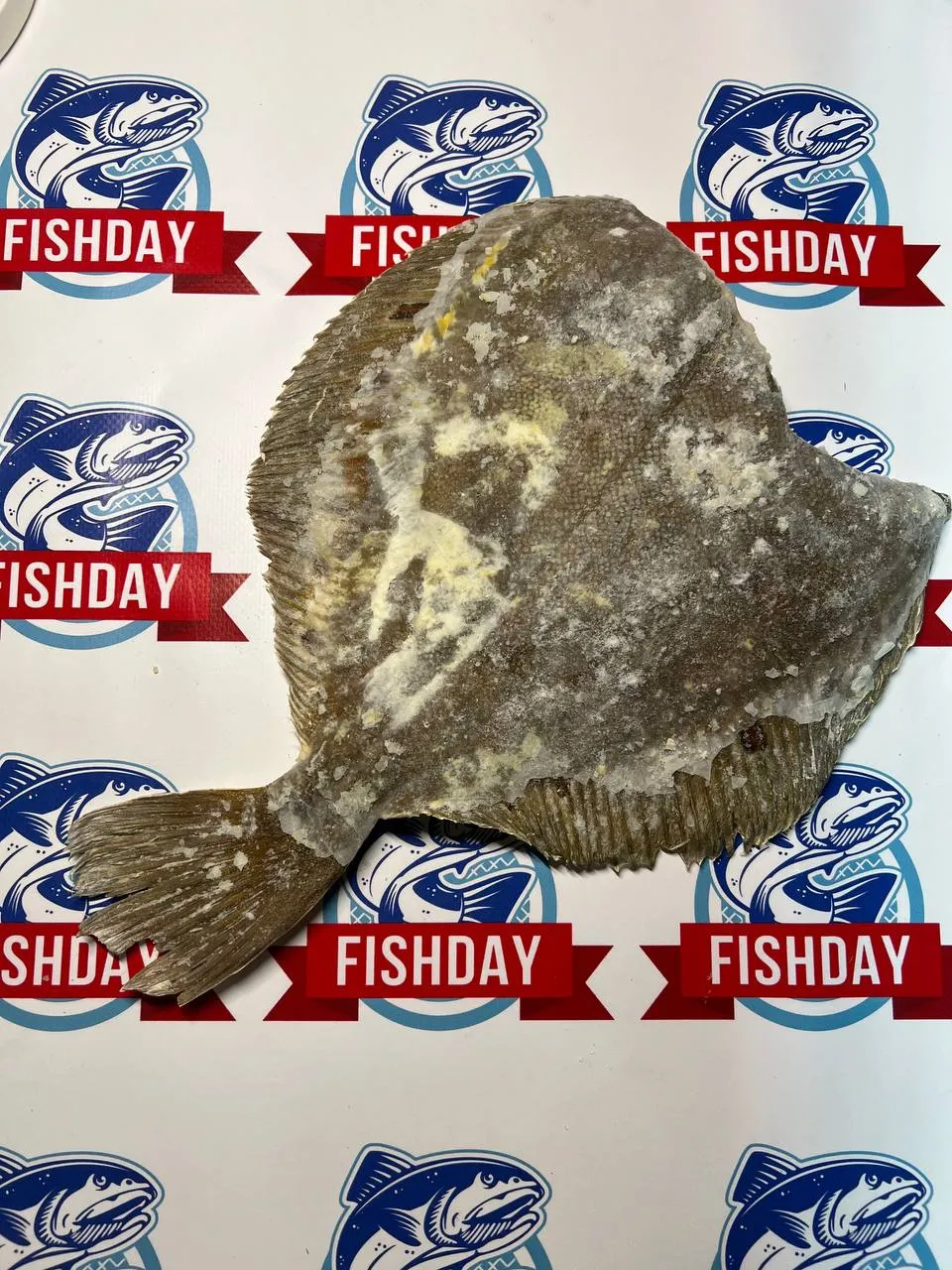 Камбала без головы фото 2